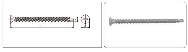 Phill Drywall Screw Drilling Point ruspect drawing.jpg